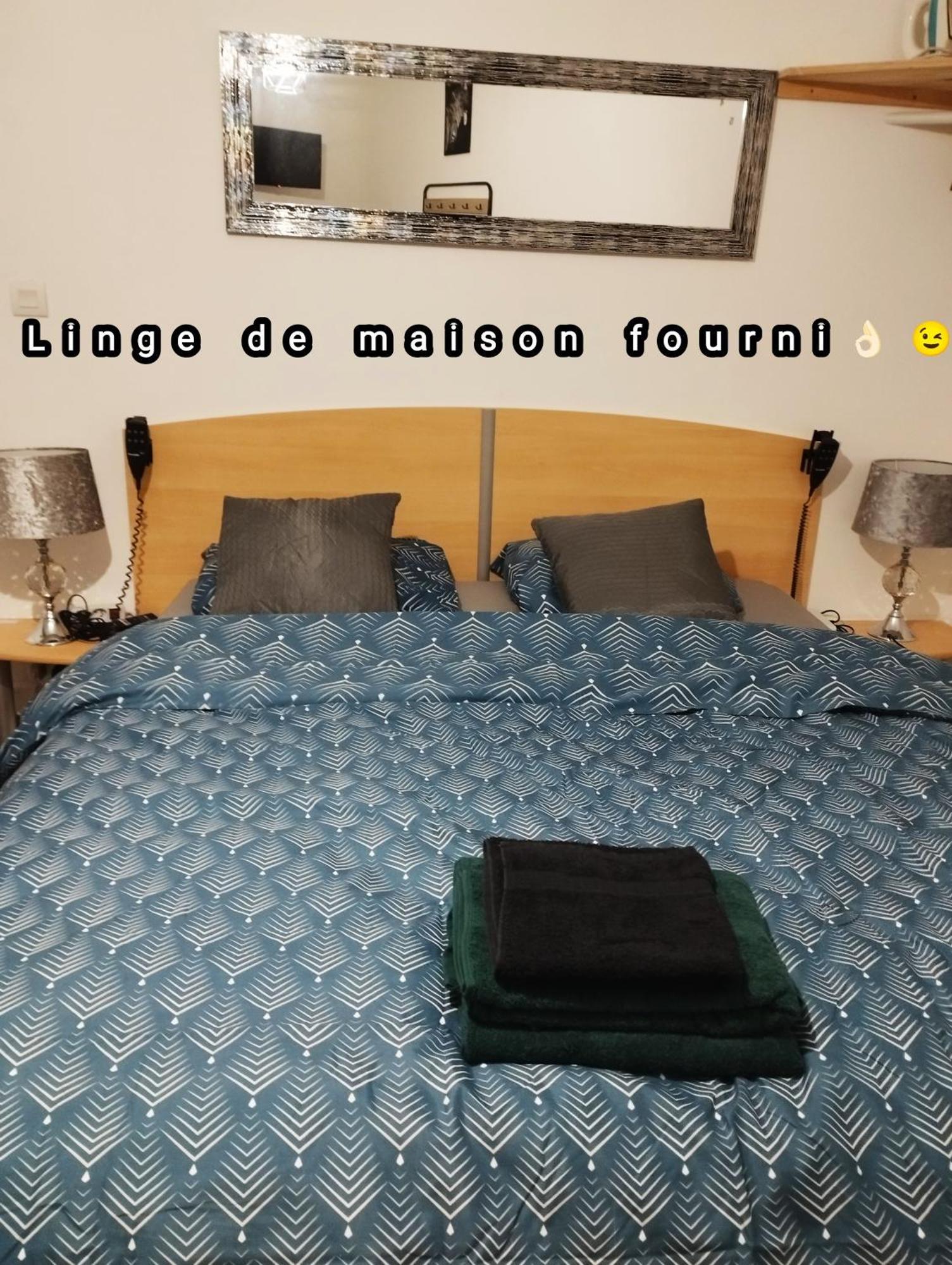 Appartement Avec Cour Plein Centre 富瓦 外观 照片